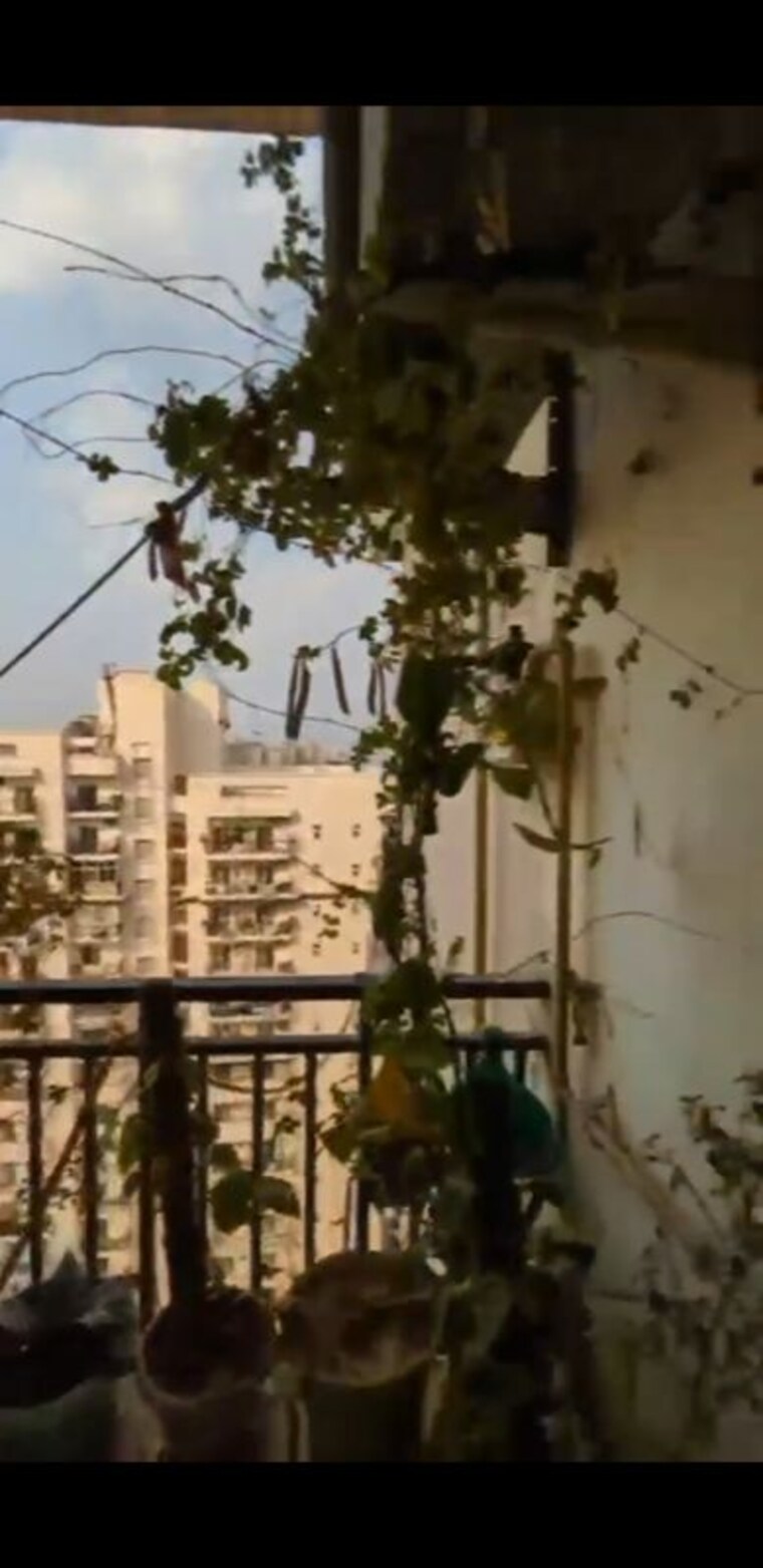 Exterior View, saviour-green-arch 3 Bedroom 1160 Sq.Ft. Apartment In Tech Zone 4 Greater Noida Greater Noida 10540722