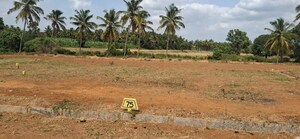 Plot Area in  Plot at Nelamangala – for Sale