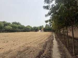  Land For Rent in Bijwasan