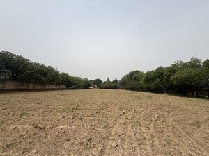 Plot Area in  Land at Bijwasan – for Rent
