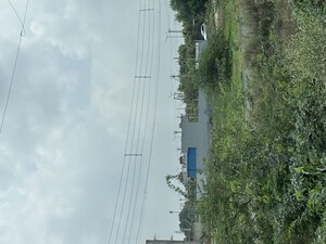  Plot For Sale in Farukh Nagar