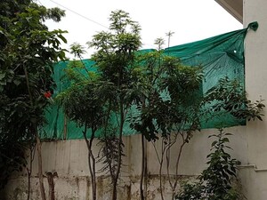5 BHK Independent House – Garden View at Vastrapur - for Rent
