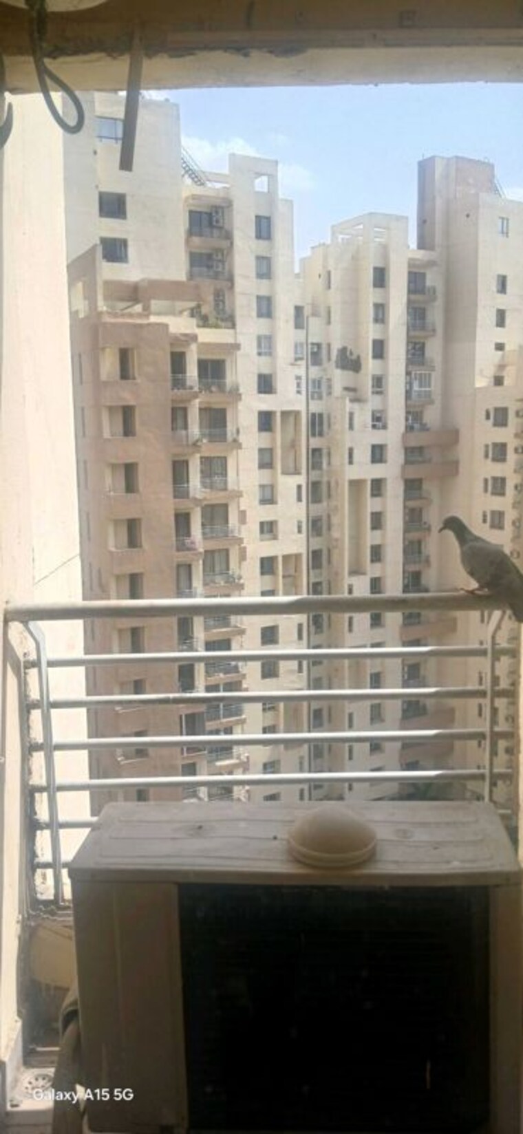 Exterior View, palam-vihar-residents-association 3 Bedroom 1550 Sq.Ft. Builder Floor In Palam Vihar Gurgaon 10541275