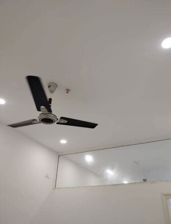 3 BHK 1350 Sq.Ft. Apartment in AFOWO Raksha Addela