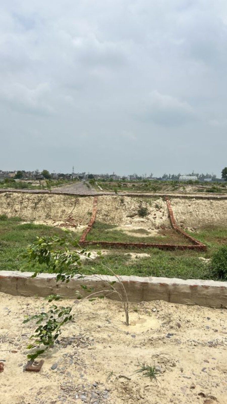 undefined, dadri  100 Sq.Yd. Plot In Dadri Greater Noida 10541391