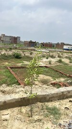 200 Sq.Yd. Plot in Dadri