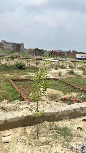 Plot For Sale in Dadri