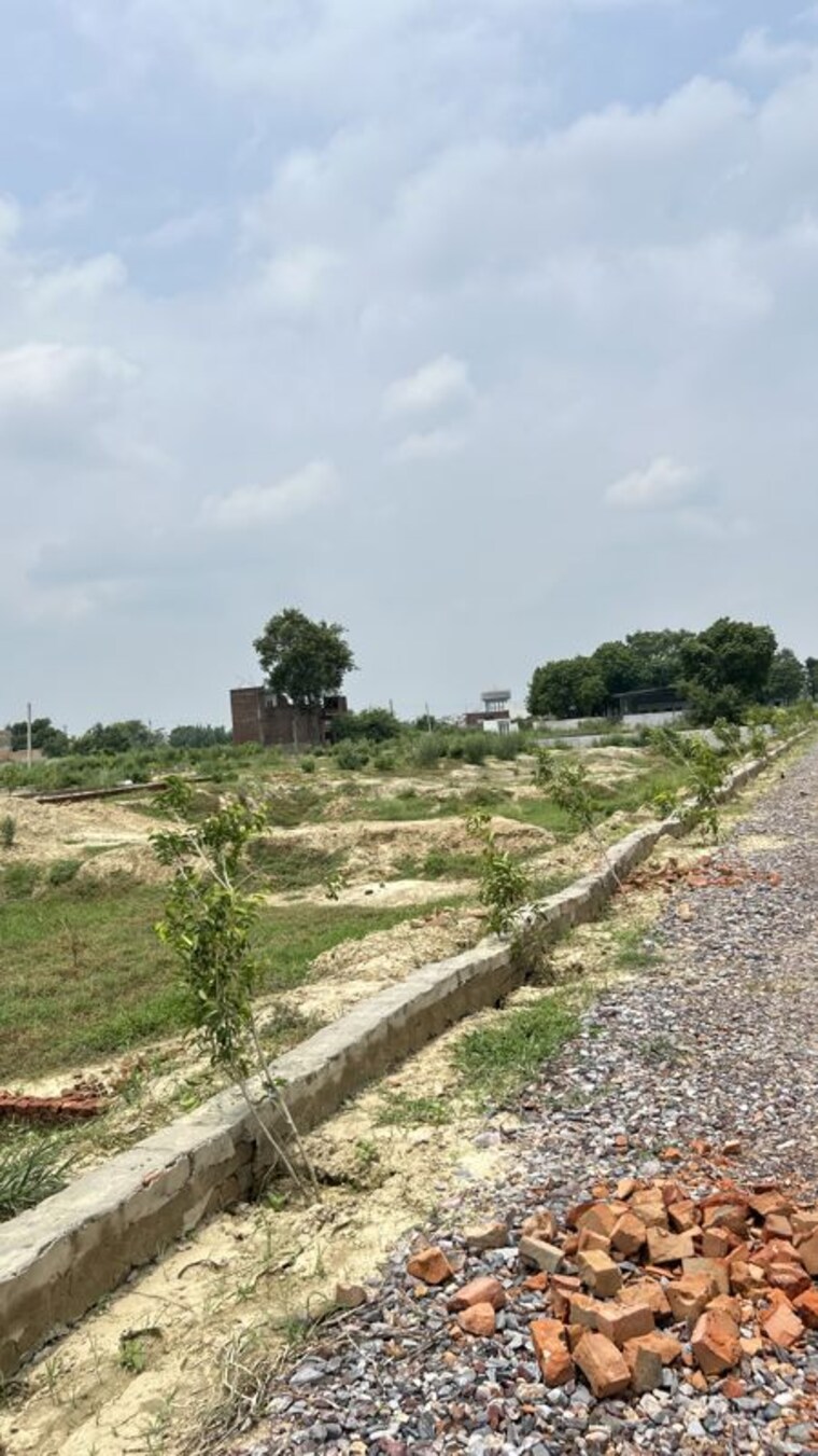 undefined, dadri  200 Sq.Yd. Plot In Dadri Greater Noida 10541407