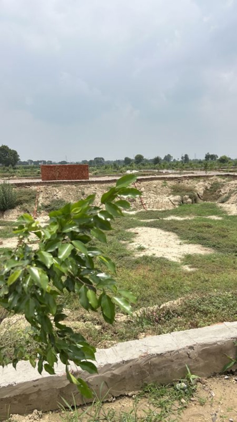 undefined, dadri  200 Sq.Yd. Plot In Dadri Greater Noida 10541407