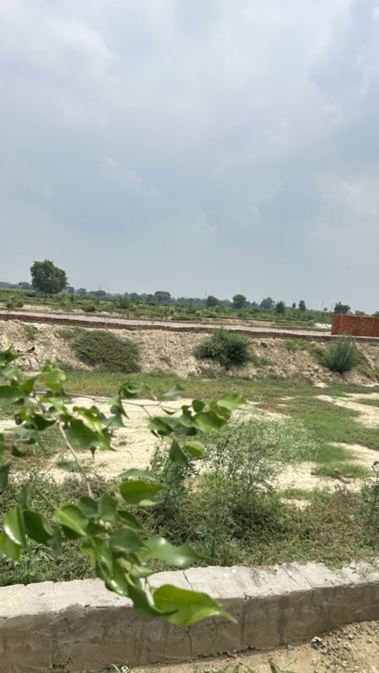 undefined, dadri  200 Sq.Yd. Plot In Dadri Greater Noida 10541407