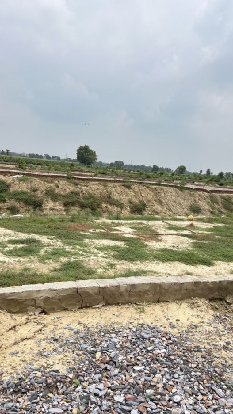 undefined, dadri  200 Sq.Yd. Plot In Dadri Greater Noida 10541407