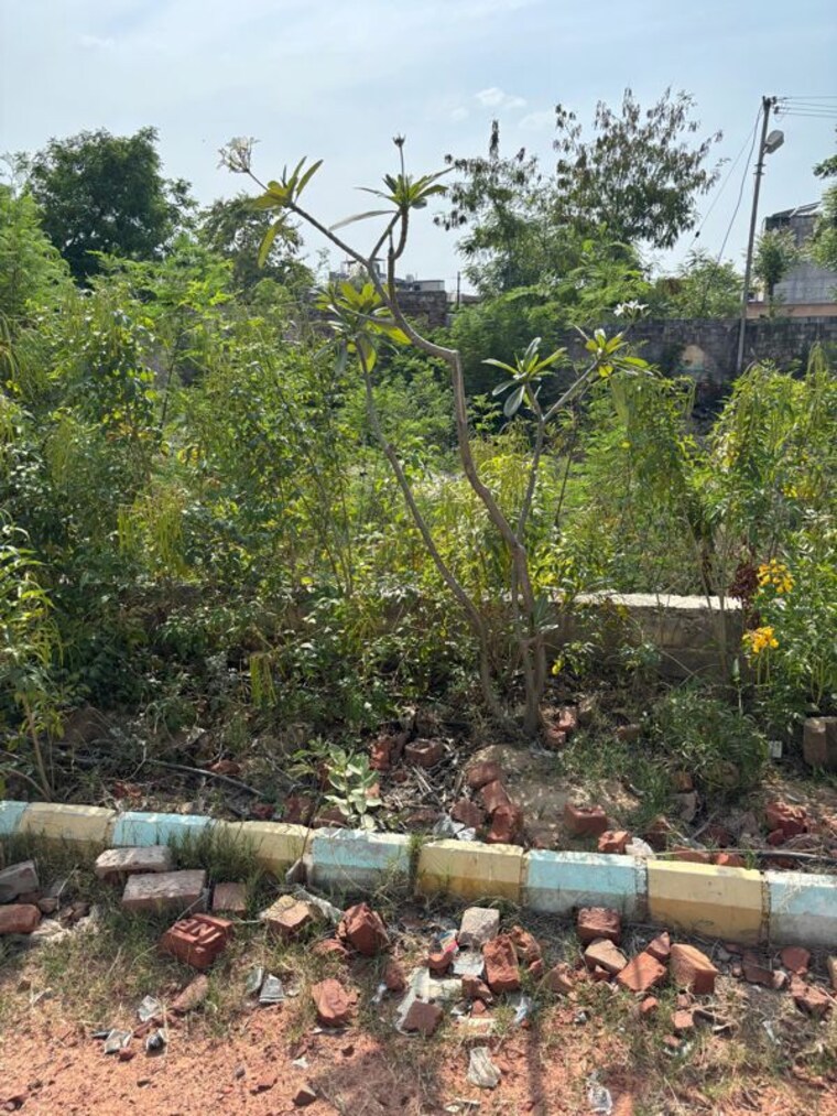 Exterior View, sitapura  100 Sq.Yd. Plot In Sitapura Jaipur 10541535