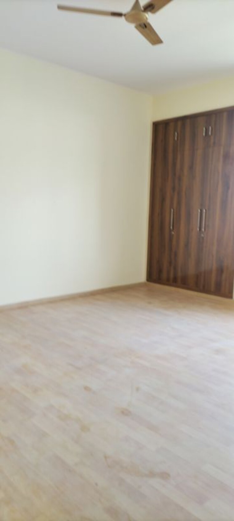 Room, pi i and ii greater noida 1 Bedroom 40 Sq.Mt. Builder Floor In Pi I And Ii Greater Noida Greater Noida 10541542