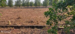 Plot Area in  Plot at Yerpedu – for Sale