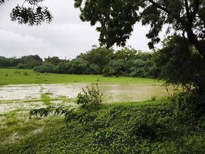  Plot For Sale in Chansad
