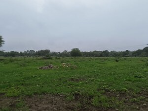 Plot Area in  Industrial Plot at Karjan – for Sale