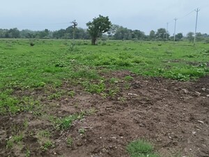 Plot Area in  Industrial Plot at Karjan – for Sale