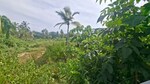 2565 Sq.Yd. Plot in Menamkulam