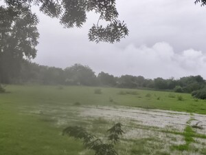 Plot Area in  Industrial Plot at Karjan – for Sale