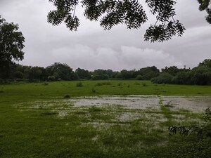 Plot Area in  Industrial Plot at Karjan – for Sale