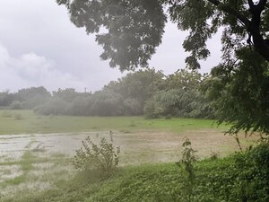 Plot Area in  Industrial Plot at Karjan – for Sale