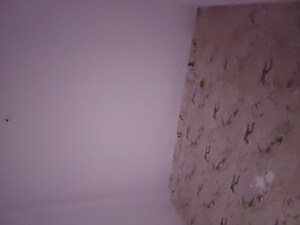 Room in  Showroom at Molarband Extension – for Rent
