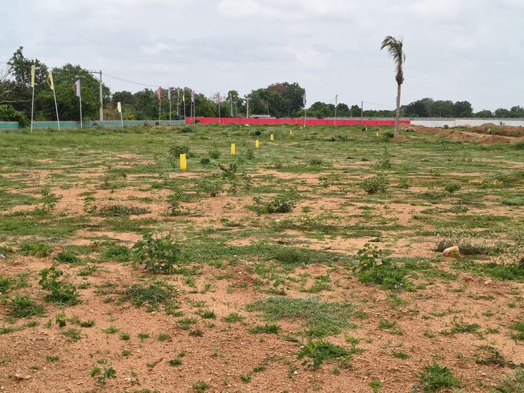 undefined, sangareddy  187 Sq.Ft. Plot In Sangareddy Hyderabad 10525767