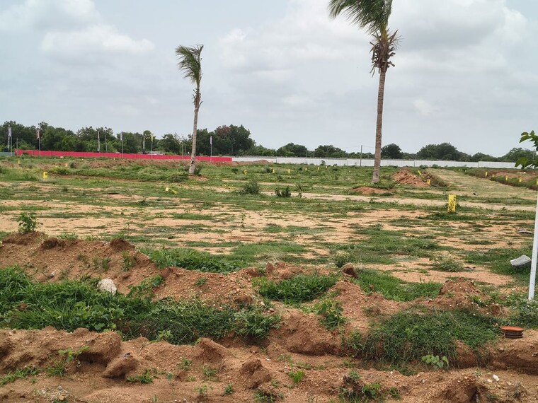 undefined, sangareddy  163 Sq.Ft. Plot In Sangareddy Hyderabad 10525735