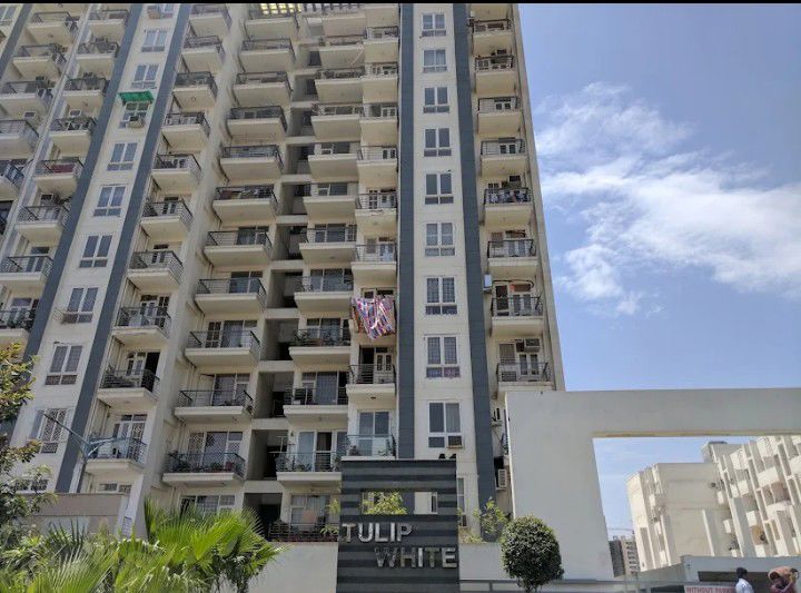 3 BHK 1600 Sq.Ft. Apartment in Tulip White