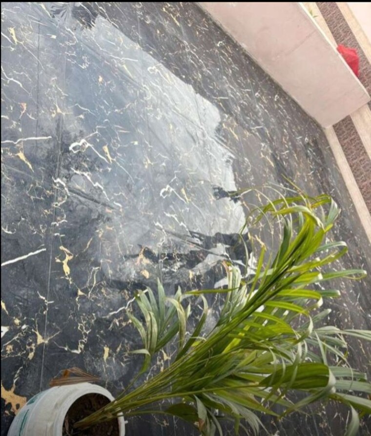 Balcony, zeta i greater noida 4 Bedroom 5325 Sq.Ft. Independent House In Zeta I Greater Noida Greater Noida 10542601