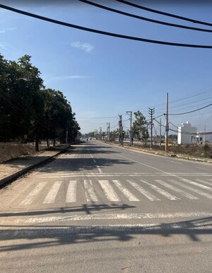  Plot – Exterior View View at Pataudi - for Sale