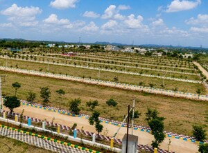 Plot – Nearby View at Shadnagar - for Sale