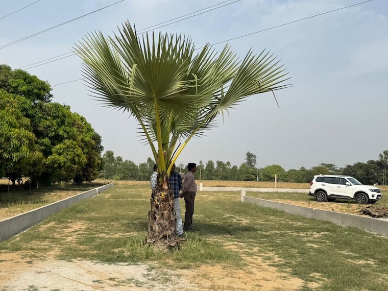 undefined, banthara  1250 Sq.Ft. Plot In Banthara Lucknow 10543251