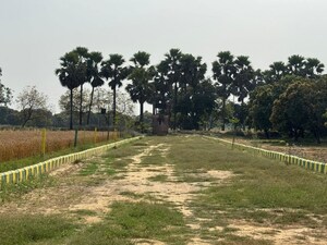 Plot Area in  Plot at Sarojini Nagar – for Sale