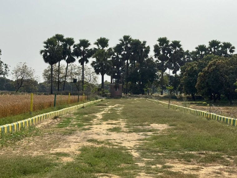 undefined, sarojini nagar  800 Sq.Ft. Plot In Sarojini Nagar Lucknow 10543298