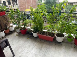 2 BHK Builder Floor For Rent in Sector 46