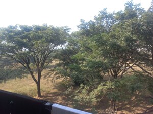 Plot Area in 3 BHK Apartment at Saibya Sundew, Begur Road – for Sale
