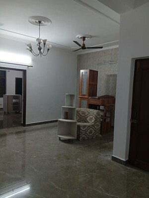 Living Room in 2 BHK Builder Floor at Ansal Plaza Sector-23, Sector 23 – for Rent