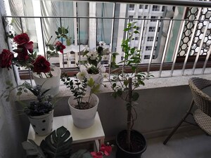 Team Area in 1.5 BHK Apartment at Piramal Vaikunth, Balkum Pada – for Sale