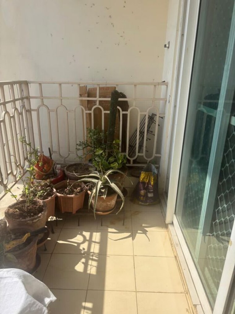 Balcony, rg-residency-ph-iii 1 Bedroom 590 Sq.Ft. Apartment In Sector 120 Noida 10193176