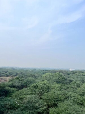 Plot Area in 1 BHK Builder Floor at Saket – for Rent
