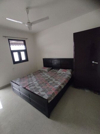 1 Rk  300 Sq.Ft. Apartment in RWA Apartments Sector 39