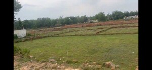 Plot Area in  Plot at Kantbada – for Sale