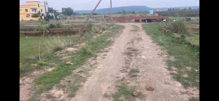 undefined, kantbada  4000 Sq.Ft. Plot In Kantbada Bhubaneswar 10544147
