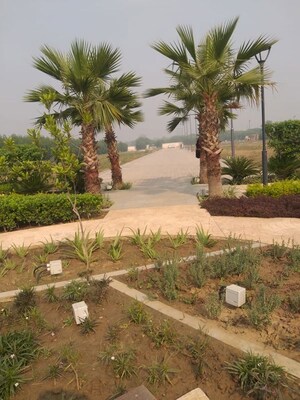  Plot For Sale in Sector 77