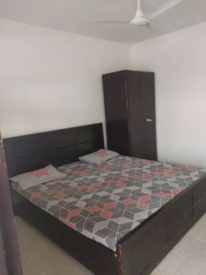 1 RK Apartment For Rent in RWA Apartments Sector 50, Sector 50