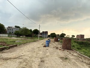 Plot Area in  Plot at Harhua – for Sale
