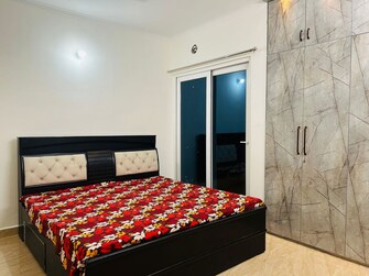 2 BHK Apartment For Rent in Gaur Yamuna City 16th Park View in Gaur Yamuna City, Greater Noida