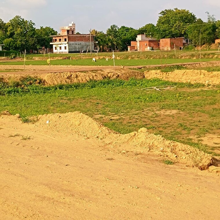 undefined, harhua  1065 Sq.Ft. Plot In Harhua Varanasi 10544946