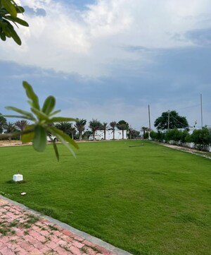  Plot – Garden View at Seema Sadan Farukh Nagar, Farukh Nagar Sector 1 - for Sale